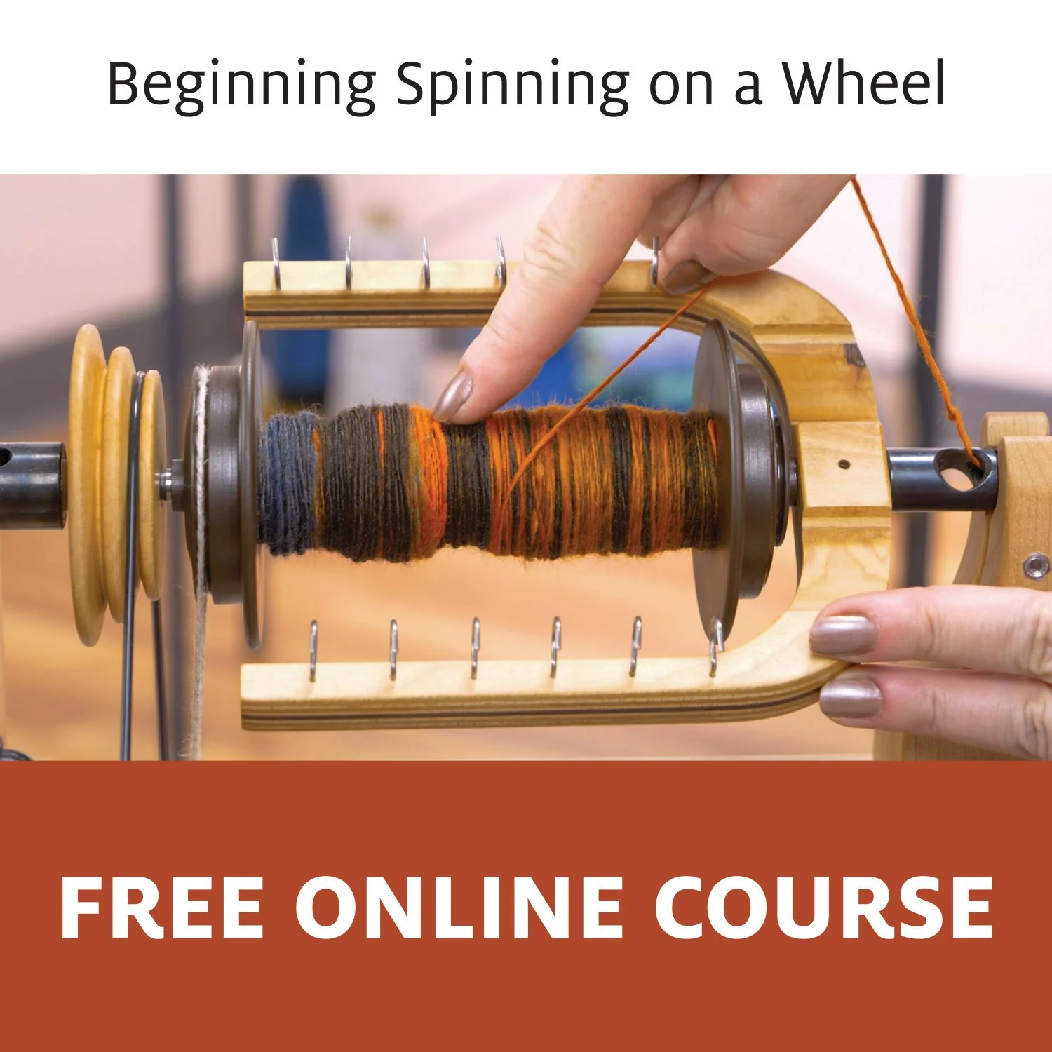 Start Spinning on Ladybug Bundle - Image 3