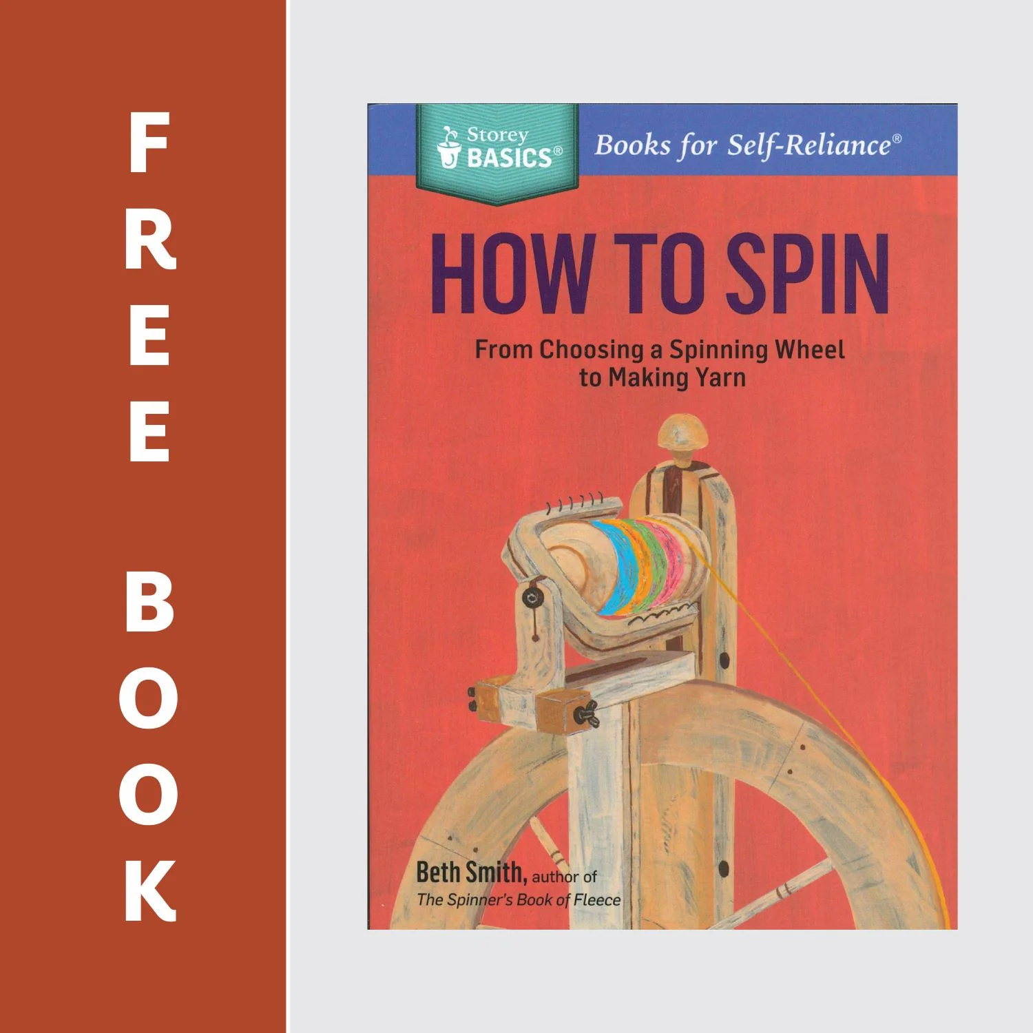 Start Spinning on Ladybug Bundle - Image 4